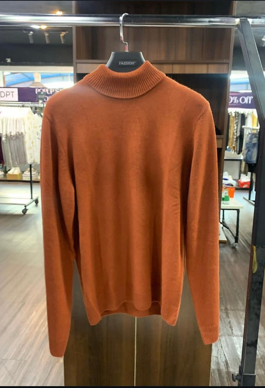 BLEND ACRYLIC WOOL MEN'S TURTLE NECK KNITWEAR IN BROWN