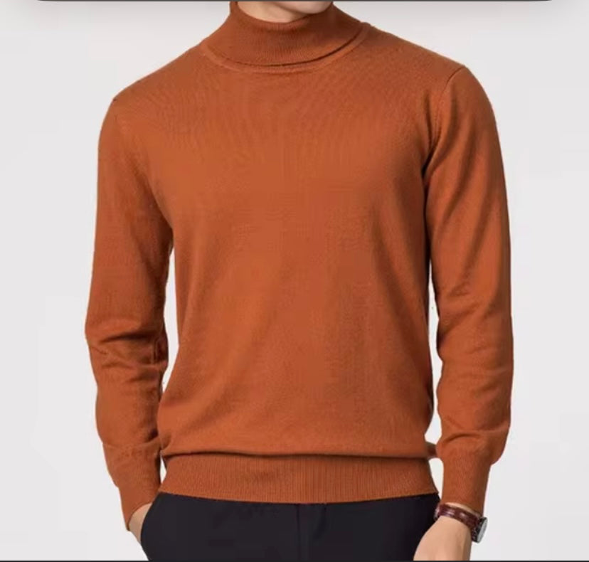 BLEND ACRYLIC WOOL MEN'S TURTLE NECK KNITWEAR IN BROWN