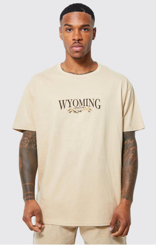 Oversized wyoming mountain graphic ss t shirt in brown