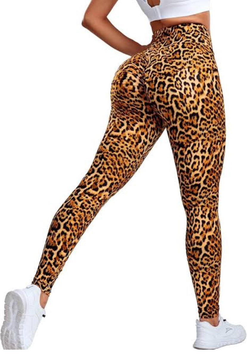 Calzedonia animalier pant