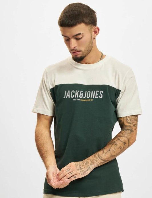 JACK & JONES JJEDAN BLOCKING  SHORT SLEEVE T-SHIRT IN GREEN