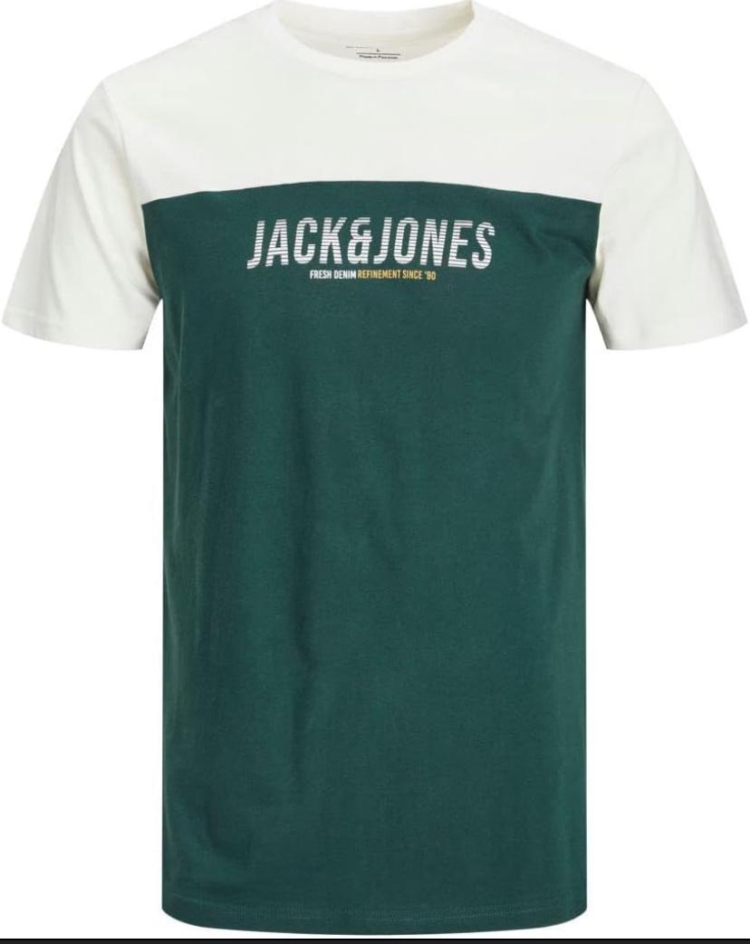 JACK & JONES JJEDAN BLOCKING  SHORT SLEEVE T-SHIRT IN GREEN